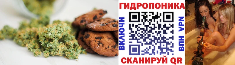 Canna-Cookies конопля  kraken tor  Котельнич 
