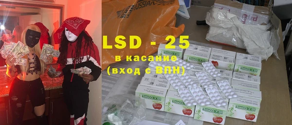 крисы Бородино