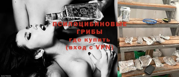 дживик Богданович