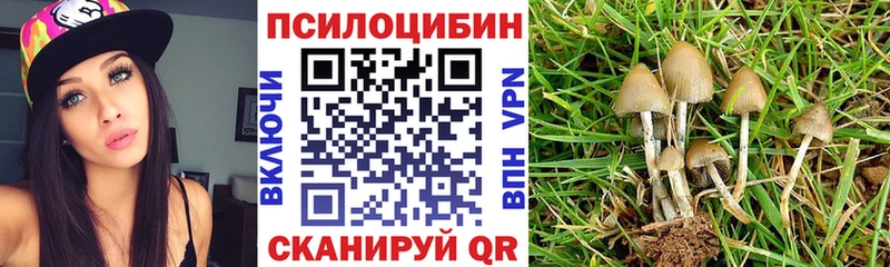 Галлюциногенные грибы Psilocybine cubensis  где продают наркотики  Котельнич 